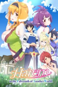 Harem in the Labyrinth of Another World