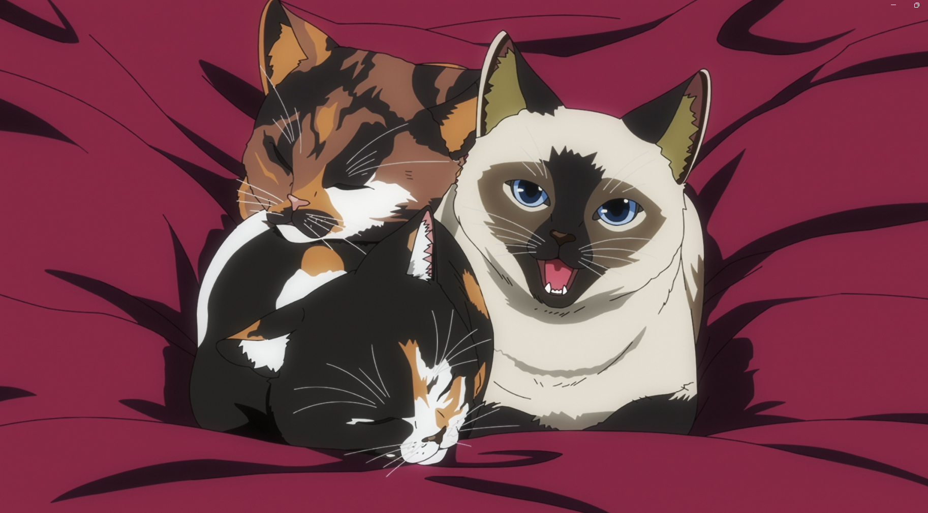 Nyaight of the Living Cat: 1×2