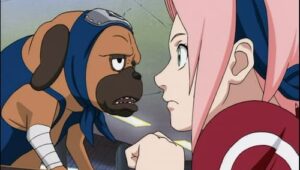 Naruto: 2×69