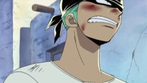 Deliver Princess Vivi! The Luffy Pirates Set Sail!