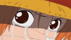 Luffy Rises! Result of the Broken Promise!