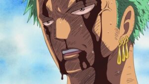 The Pain of My Crewmates Is My Pain! Zoro's Desperate Fight!