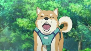 My Beloved Dog Pan-kun Is a Good Boy