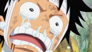 I Want to See Them! Luffy's Mournful Cry!