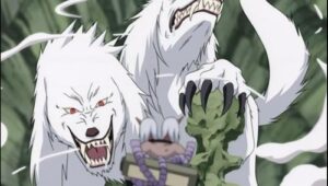 Roar and Howl! The Ultimate Tag-Team!