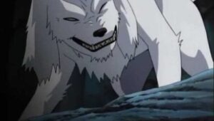 Kiba's Long Day!