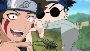 What's the Difference? Don't All Insects Look Alike?