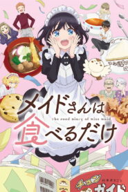 The Food Diary of Miss Maid