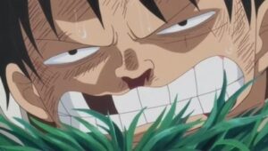 I'll Wait Here! Luffy vs. the Enraged Army!
