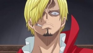 A Heartbreaking Duel! Luffy vs Sanji! (1)